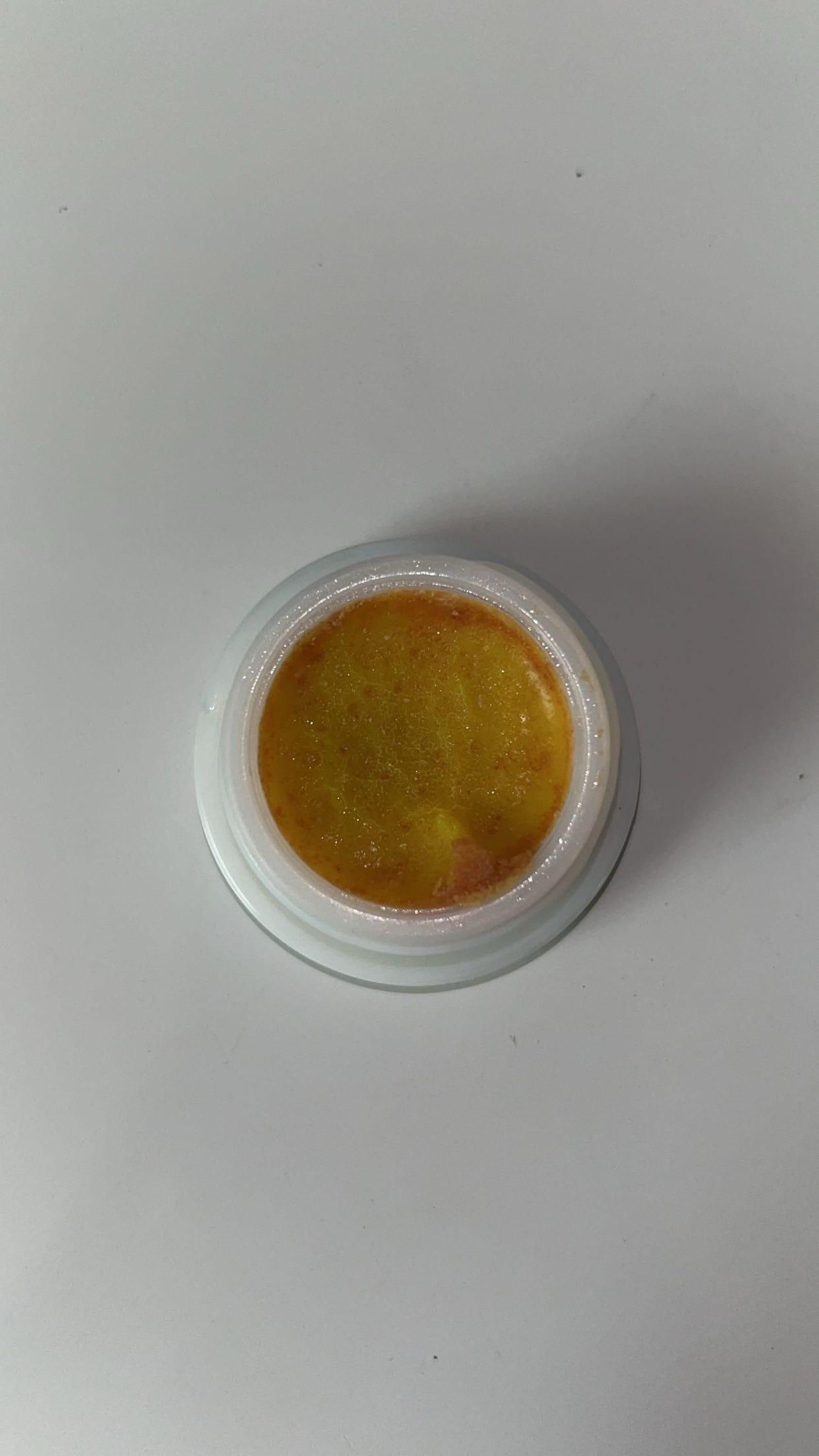 RoachGuard™ Gel Pods – Home Roach Control Duo